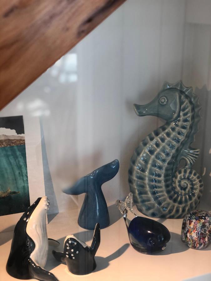 White Caps Kaikoura Farmstay Εξωτερικό φωτογραφία